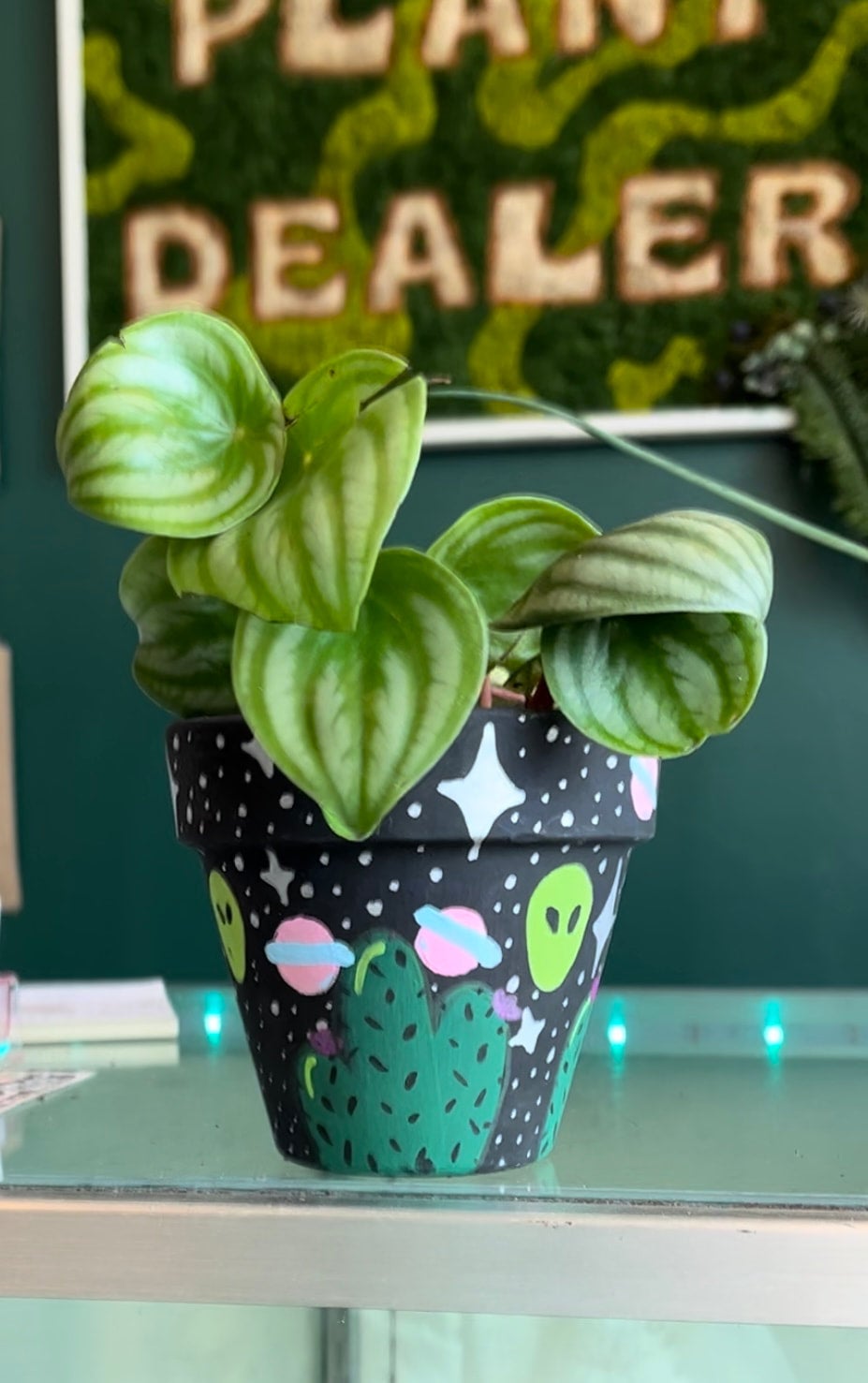 Pottery Paint + Sip Pot Heads Plant Shop